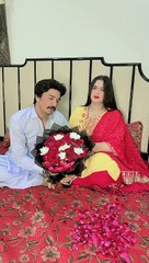 Pas ao mein tumhein dykh loon #alizaseharvlogs #village