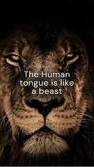 Weird Stories Quote Of The day | Best Quote | Weird stories