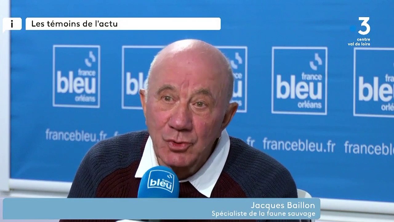 Les Témoins de l'Actu : Jacques BAILLON - Vidéo Dailymotion