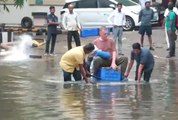 ঘূর্ণিঝড় ও প্রবল বৃষ্টির জেরে বিপর্যস্ত চেন্নাই, বানভাসি রাজ্য!