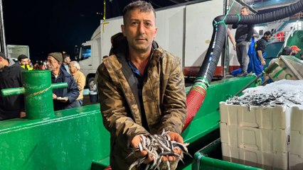 Bartın'da balıkçılar, 300 ton hamsiyle döndü