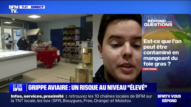 Grippe aviaire: est-ce que l'on peut être contaminé en mangeant du foie gras? BFMTV répond à vos questions