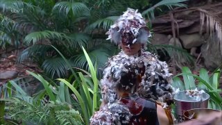 I'm a Celebrity, Ge Me Out Of Here S23E17