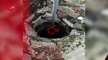 Çanakkale'de 7 metrelik kuyuya düşen porsuk, kurtarıldı