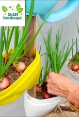 amazing different ideas plants