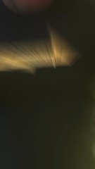 Fortnite Chapitre 5 : Les Nouveaux Changements!