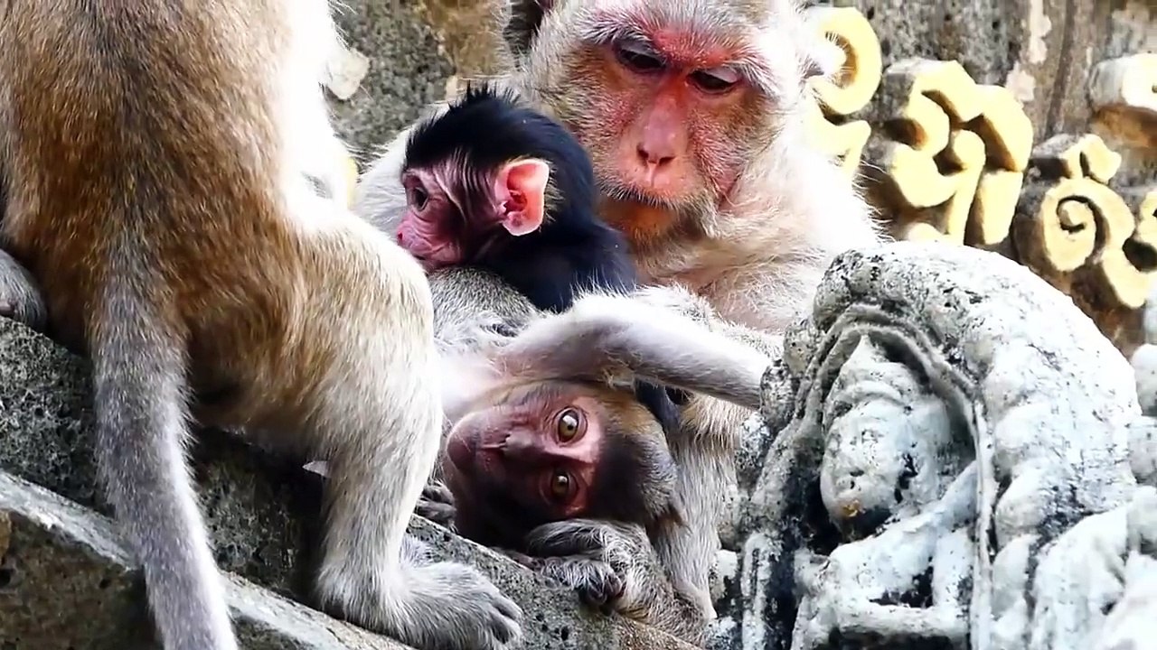 Little Cute Newborn Baby Is Interested With His Relatives (720p_25fps_H264-192kbit_AAC)
