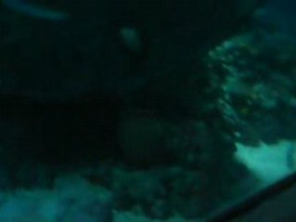 aquarium