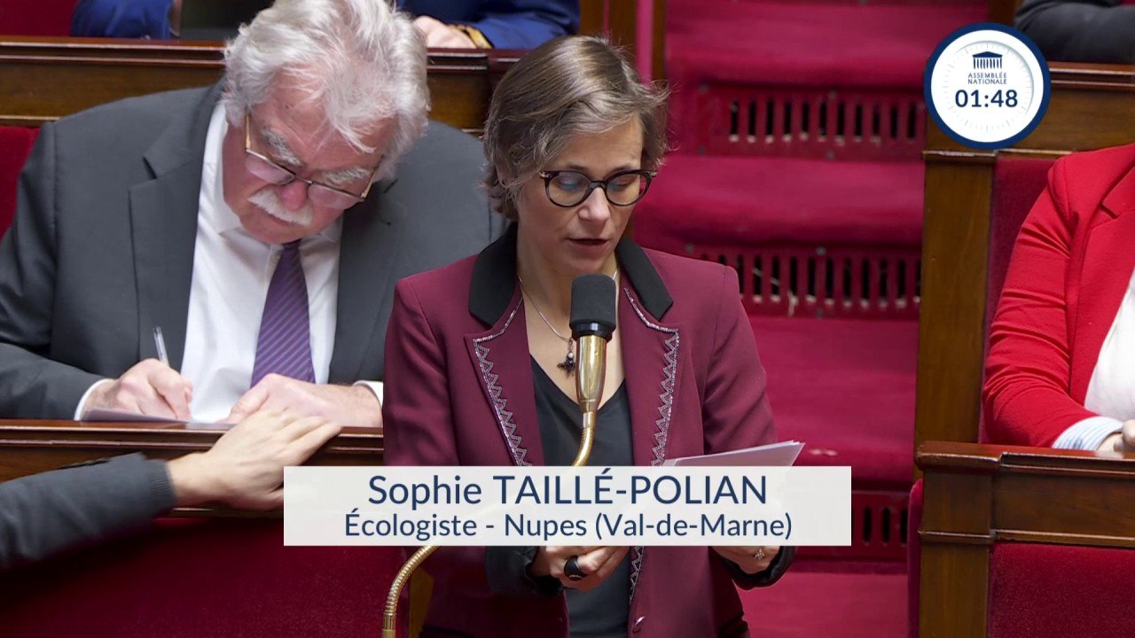 Contrôles anti-fraude de la Caf: "Les critères discriminants doivent impérativement être écartés", demande Sophie Taillé-Polian (écologiste)