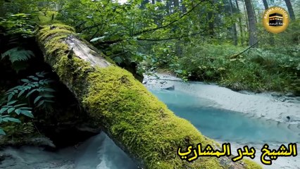 أهوال يوم القيامة ولحظة التي يشفع فيها رسول صل الله عليه وسلم