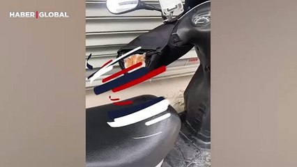 Üşüyen sokak kedisini motorunun kolunda görüntülediği anlar milyonları ağlattı