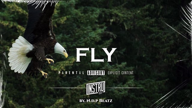 [FREE] Instru Rap Trap Lourd FLY Freestyle Dark Type Beat 2023 Prod. By N.D.P BEATZ