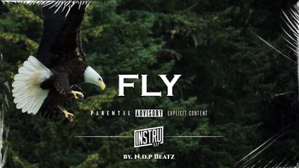 [FREE] Instru Rap Trap Lourd "FLY" Freestyle Dark Type Beat 2023 Prod. By N.D.P BEATZ