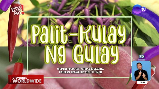 Red okra at siling kulay ube, ano ang lasa? | Dapat Alam Mo!