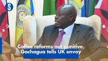 Coffee reforms not punitive, Gachagua tells UK envoy