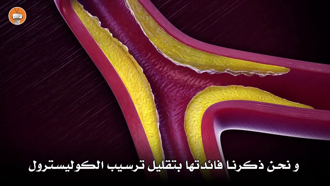 فوائد الكتان