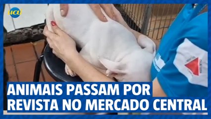 Revista de Animais Expostos no Mercado Central de Minas Gerais