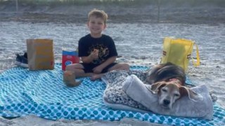 Esta familia le dio el último adiós a su mascota en la playa