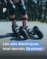 Skwheel et leurs skis électriques tout-terrain : une conquête sans limites entre plage, montagne et forêt !