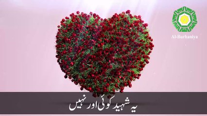 Sayyiduna Ameer Hamzah's death day  Sayyiduna #Ameer #Hamzah's #death #day #uncle of Muhammad PBUH  یوم وصال سیدنا امیر ہمزہ رضی اللہ عنہ