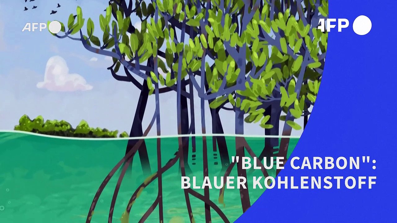 Videografik: blauer kohlenstoff