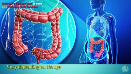 GALLBLADDER MISSING? How To Correct Dangerous Deficiencies