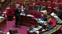 Le Sénat vote une dotation de 3 millions d’euros pour aider les communes à stériliser les chats