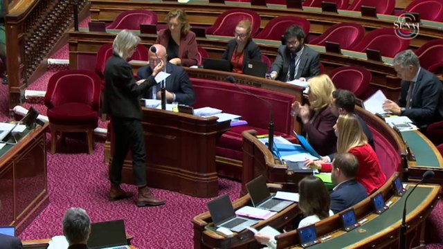 Le Sénat vote une dotation de 3 millions d’euros pour aider les communes à stériliser les chats