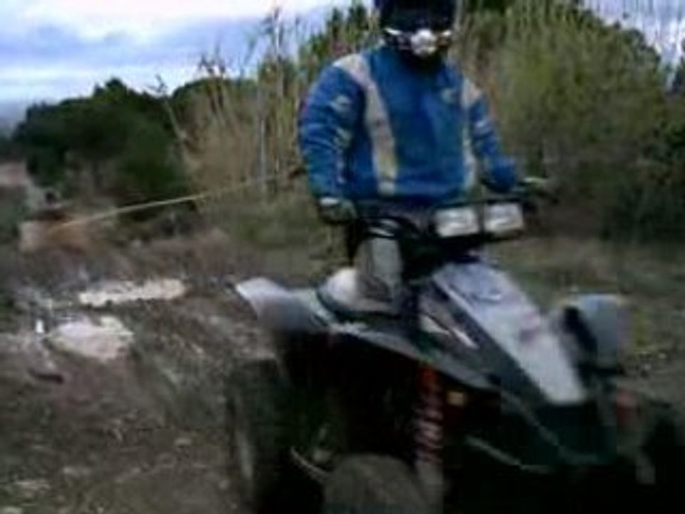 Raptor 350 VS 500 scrambler