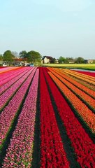  Top 10 des pays avec la meilleure qualité de vie dans le monde en 2023