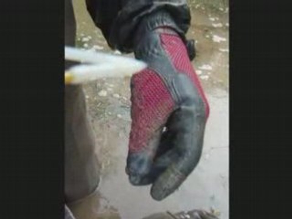 Giant catfish river tarn