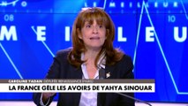 Caroline Yadan : «Cet endoctrinement à la haine existe depuis le plus jeune âge et lorsque vous ouvrez des manuels scolaires palestiniens, vous comprenez d'où ça vient»