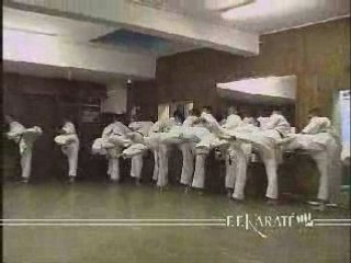 Karaté Découverte FFKDA