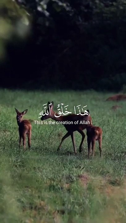 قرآن _quran..هذا خلق الله