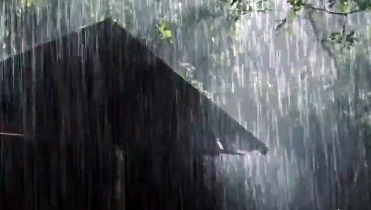 Heavy Rain Last Night