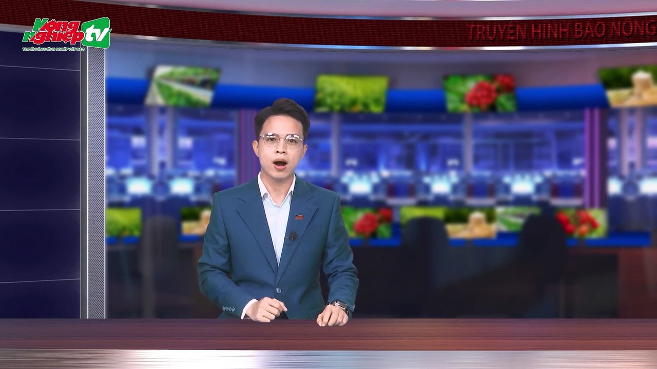 Mở hướng nuôi biển tại Quảng Bình