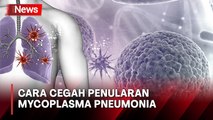 Kasus Mycoplasma Pneumonia Ditemukan di RI, Dirjen P2P Kemenkes Beri Pesan Ini