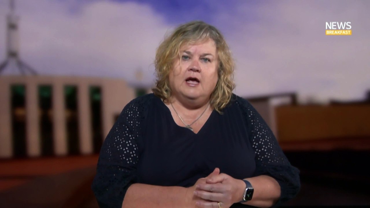 CEO of Inclusion Australia suggests government take action on NDIS review