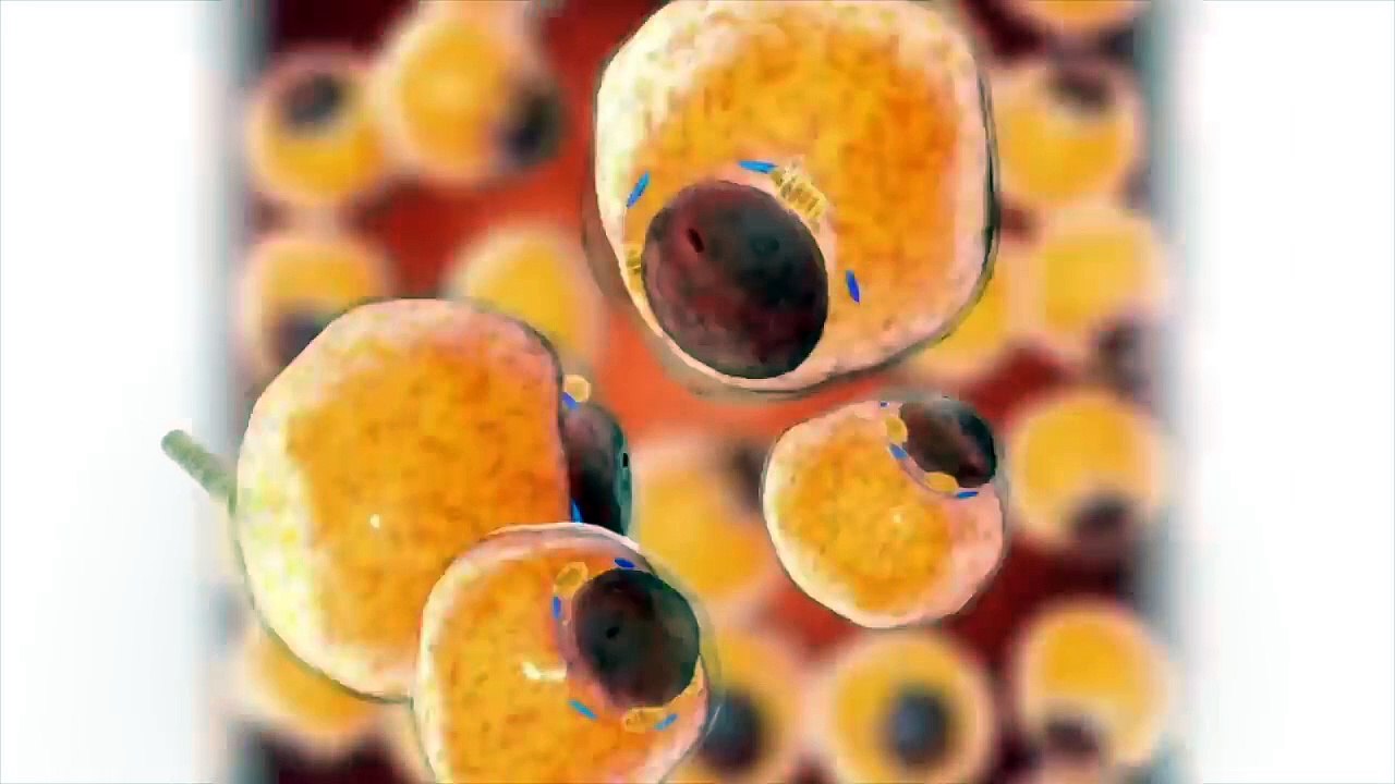 Drink 1 CUP PER DAY to Shrink an Enlarged Prostate