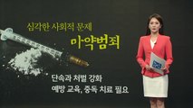 올해 마약 사범 역대 최다... 3명 중 1명은 10·20대 [앵커리포트] / YTN