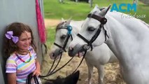 7-year-old national champion rider emerges from family dedicated to horses