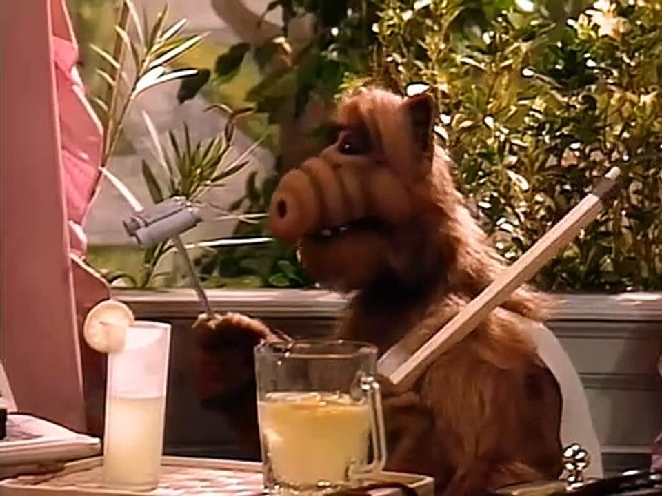 ALF - Das Fenster zum Garten