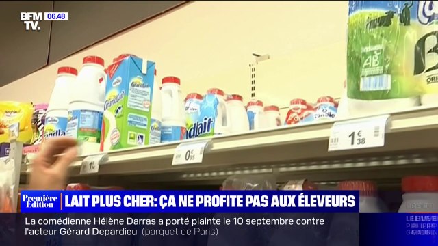 L'augmentation du prix du lait a plus profité aux distributeurs qu'aux éleveurs, selon la Fondation pour la Nature et l'Homme