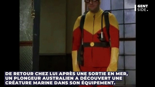 Voici ce qu’il a retrouvé dans son matériel de plongée après une sortie en mer