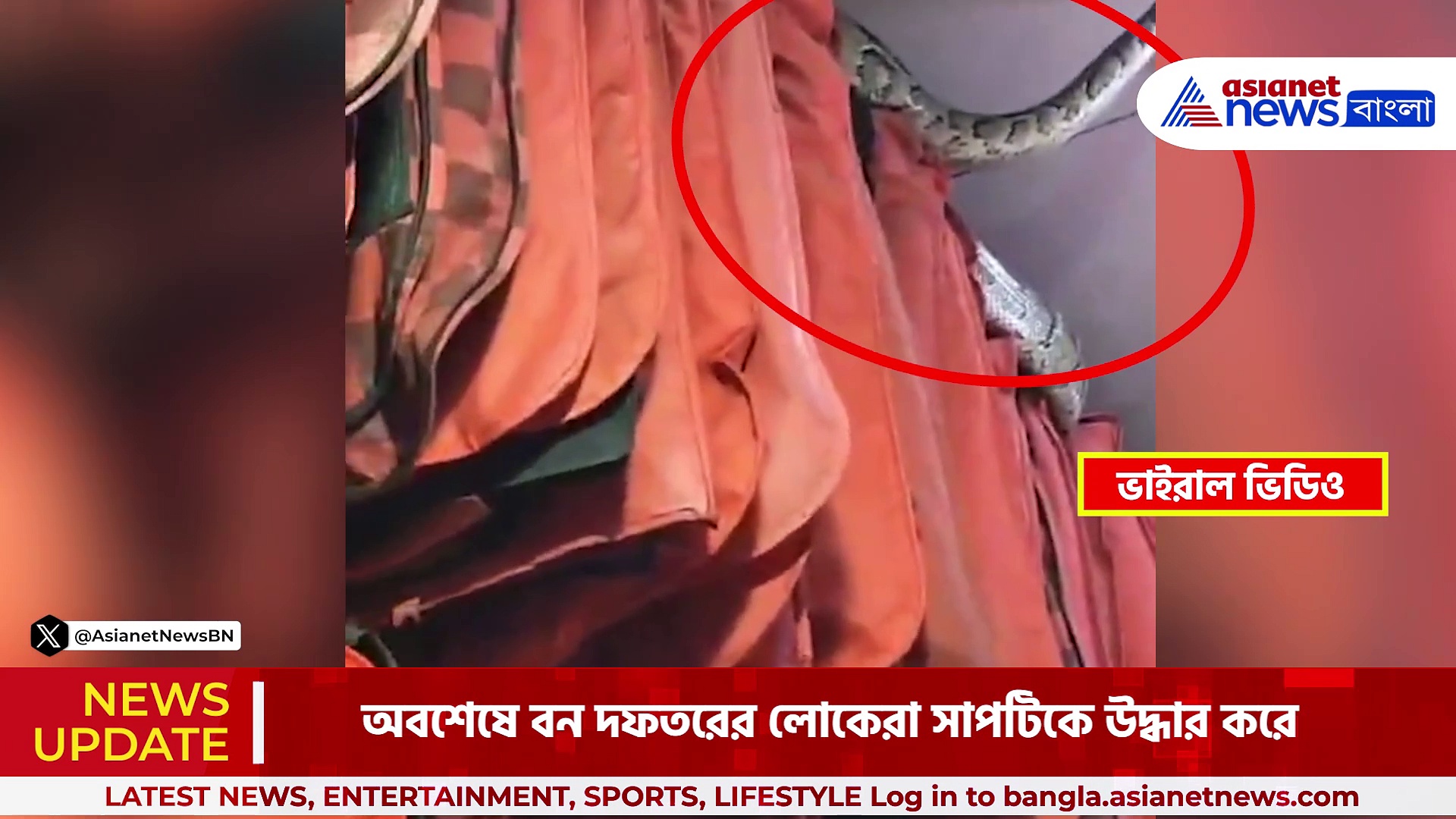 Viral Video: দোকানের মধ্যে ঘুরে বেড়াচ্ছে অজগর, ভিডিও দেখে শিউরে উঠেছেন নেটিজেনরা