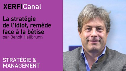 La stratégie de l’idiot, remède face à la bêtise  [Benoît Heilbrunn]