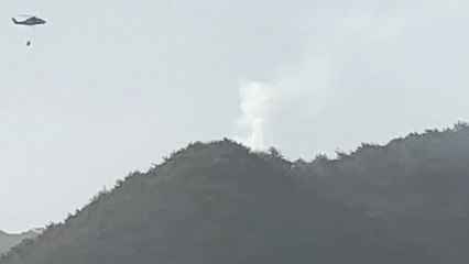 경북 영주 소백산 중턱에서 불...1시간 만에 진화 / YTN