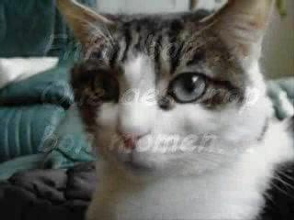 justine/maud