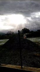 Elisoccorso Angitola