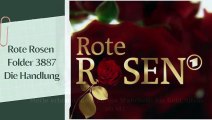 Rote Rosen Folge 3887 Die traurige Wahrheit - Die Handlung